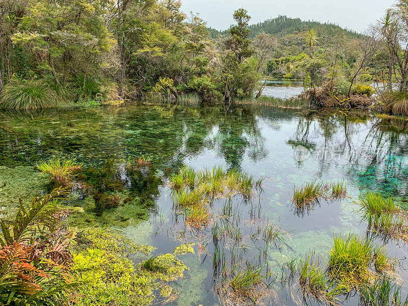 新西兰南岛塔斯曼区卡胡兰吉国家公园的Te Waikoropupu温泉步道